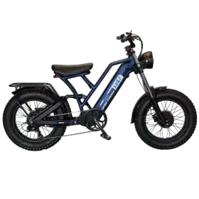 Electric Farm Bike